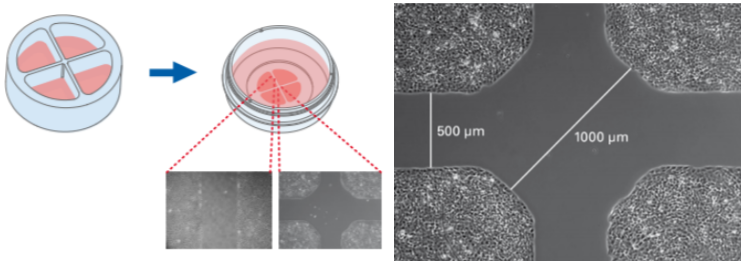 20220525-1159033186.png 20220525-1159033186.png